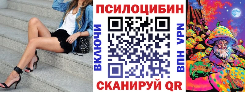 Псилоцибиновые грибы Psilocybe  цены наркотик  Новоаннинский 